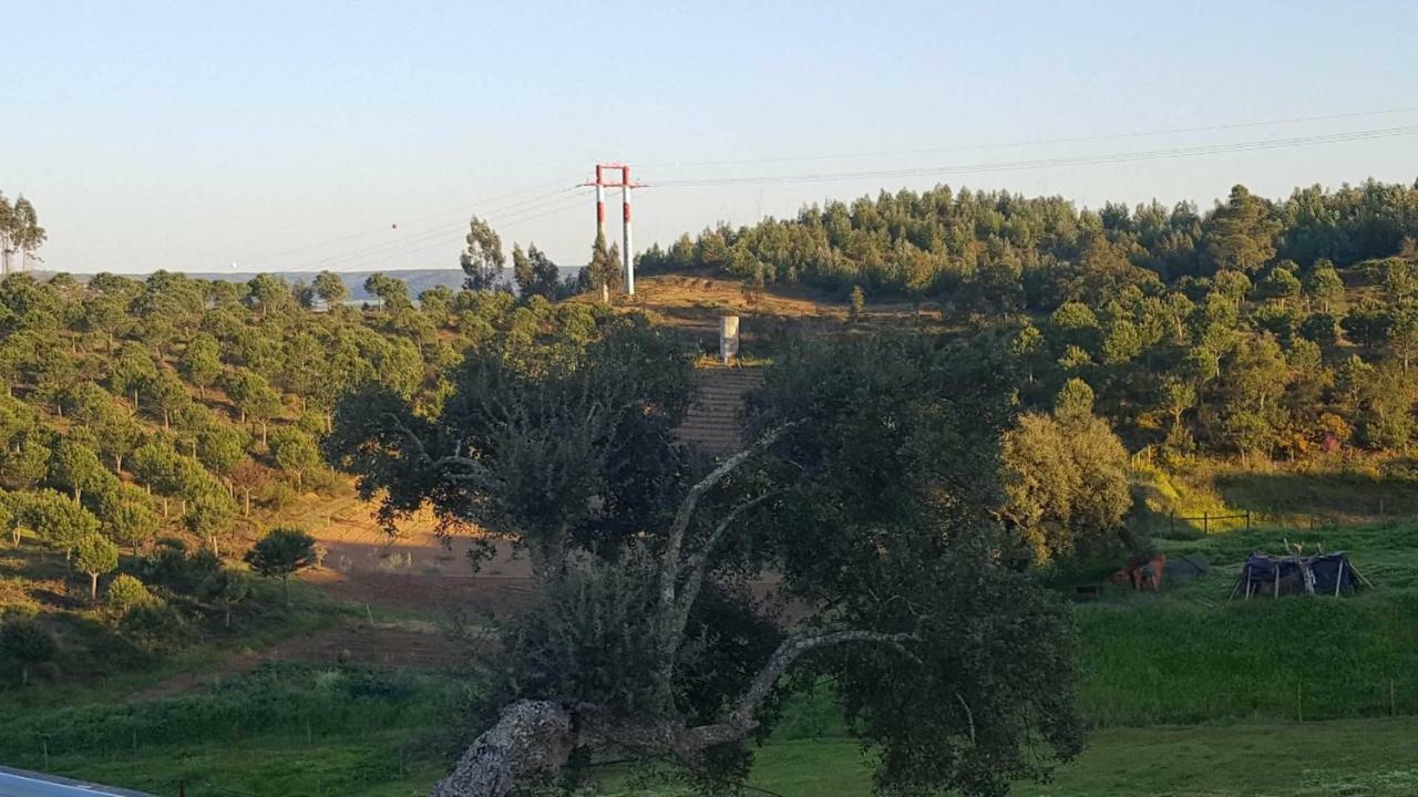 Quinta Do Caneiro - Casa Turismo Rural Constância Buitenkant foto